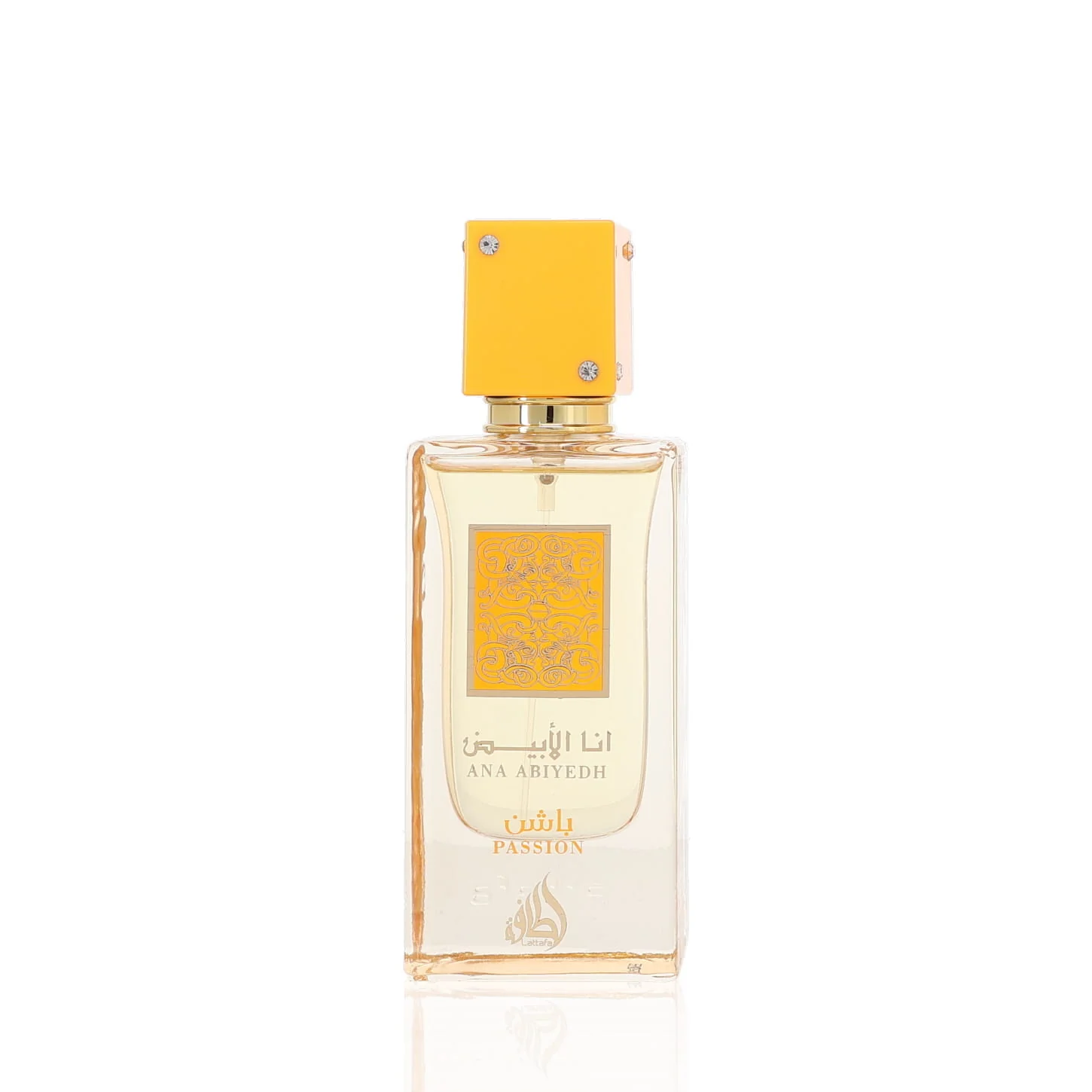 Latest & Greatest Scents of 2026 - New Arrivals
